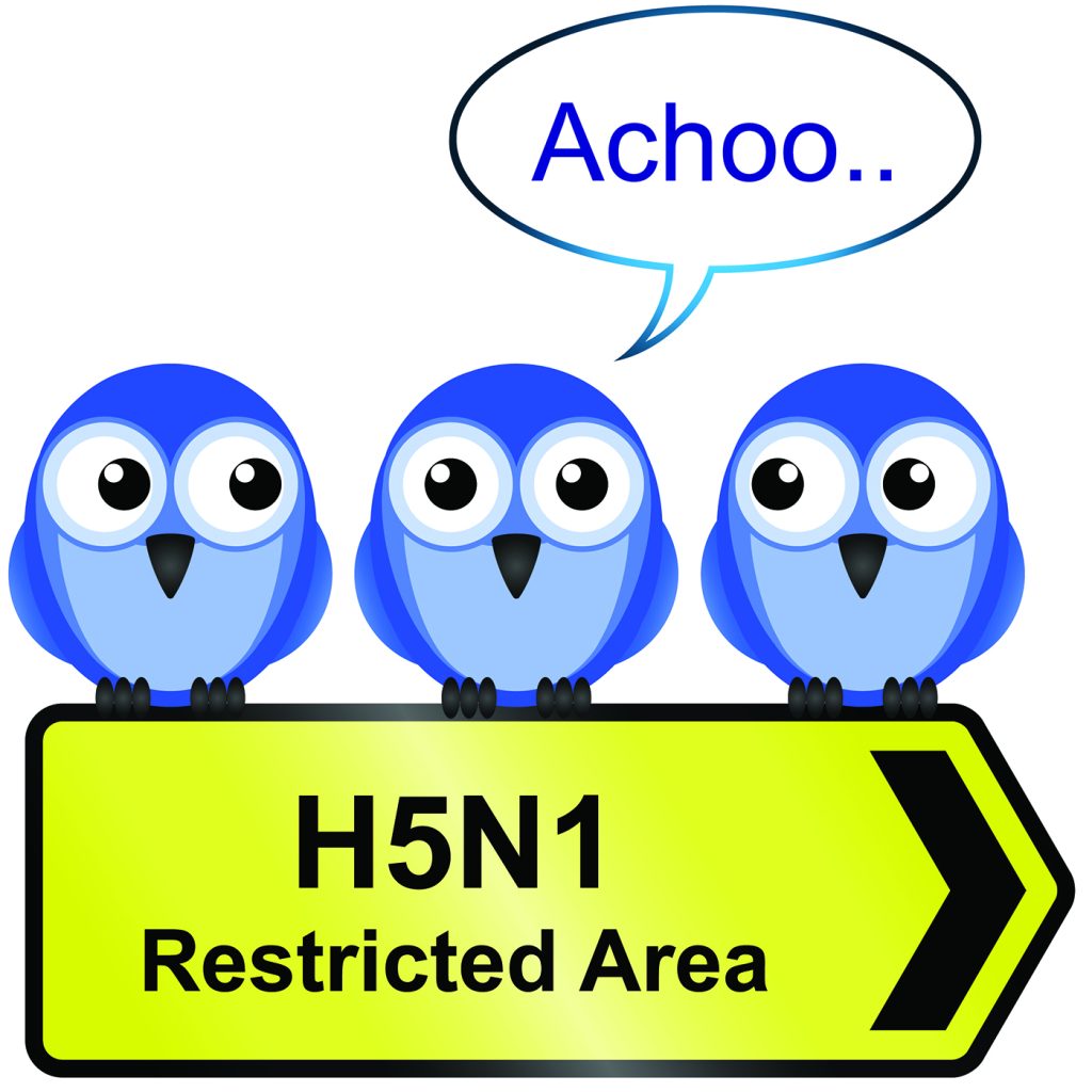 afbeelding Selectie van de informatie over Vogelgriep