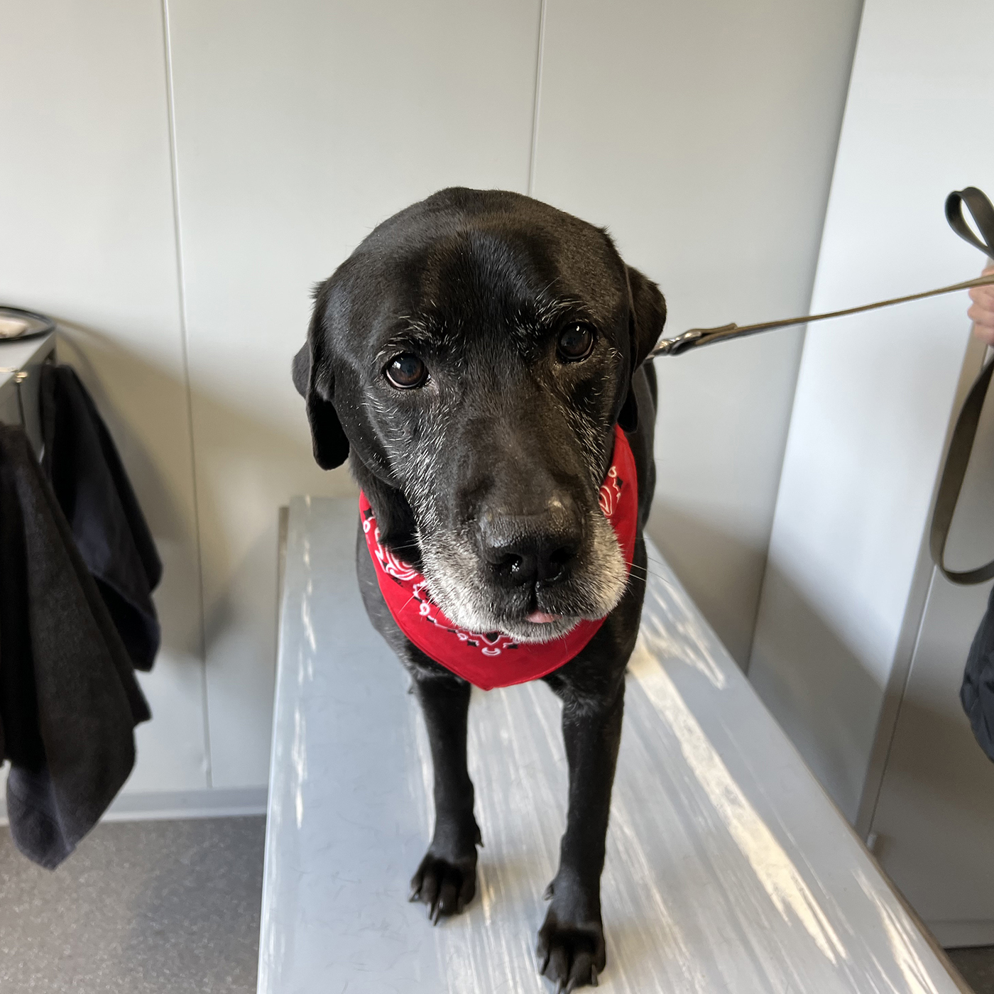 hero afbeelding blog