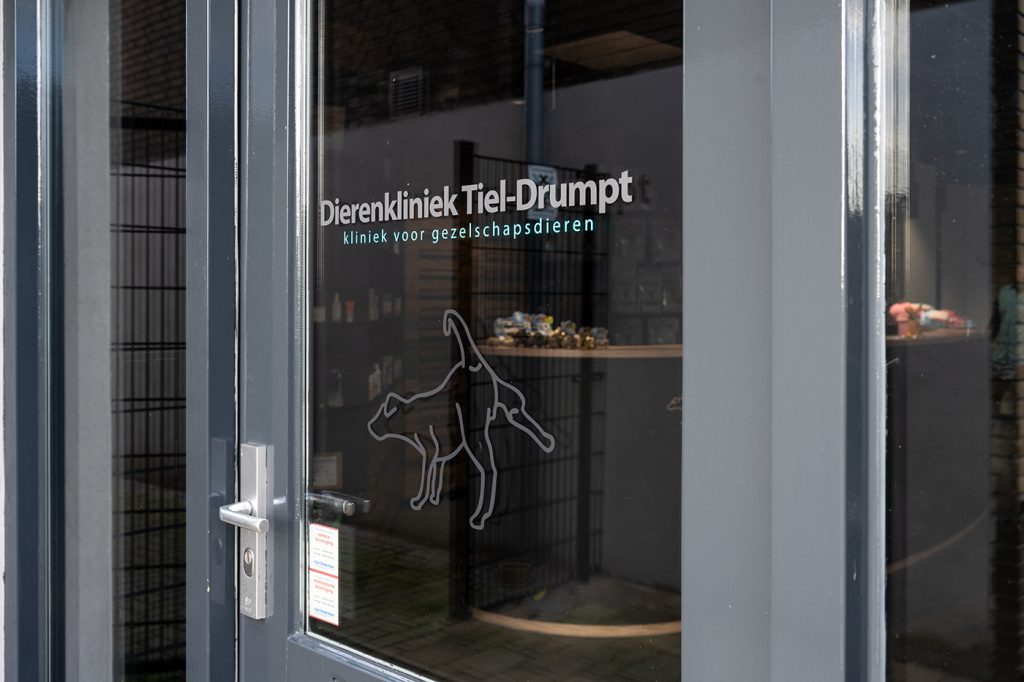 afbeelding De nieuwe wachtkamer