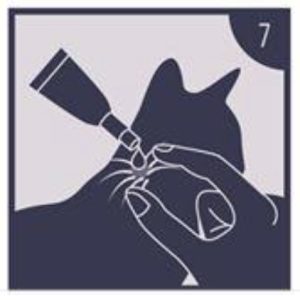 Dierenkliniek Tiel-Drumpt: Bijsluiter Felpreva: Opbrengen