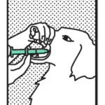 Dierenkliniek Tiel-Drumpt: Bijsluiter Tessie, drank voor honden