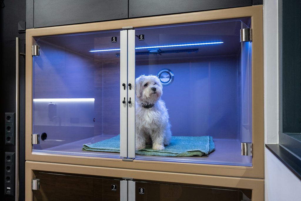 Dierenkliniek Tiel-Drumpt: We hebben een ruime hondenopname, voorzien van verschillende soorten verlichting.