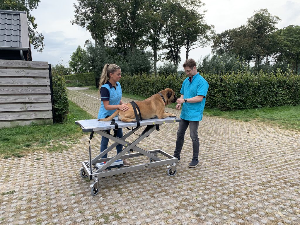Dierenkliniek Tiel-Drumpt: Nieuwe brancards.