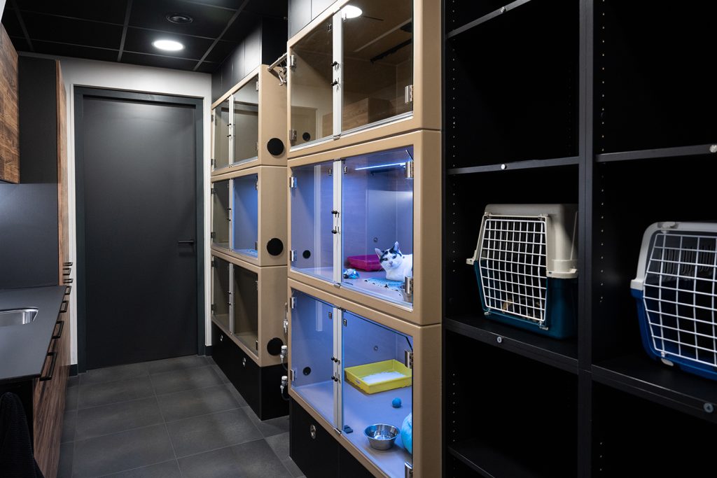 Dierenkliniek Tiel-Drumpt: De katten- en frettenopname, voldoende opname mogelijkheid