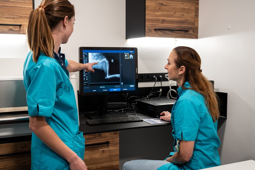 Dierenkliniek Tiel-Drumpt: We maken frequent röntgenfoto's