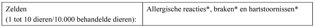 Dierenkliniek Tiel-Drumpt: Bijsluiter Vitofylin 100: