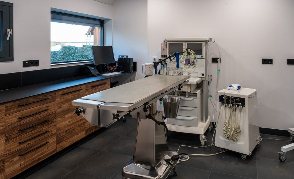 Dierenkliniek Tiel-Drumpt: onze gebitsruimte een overzicht