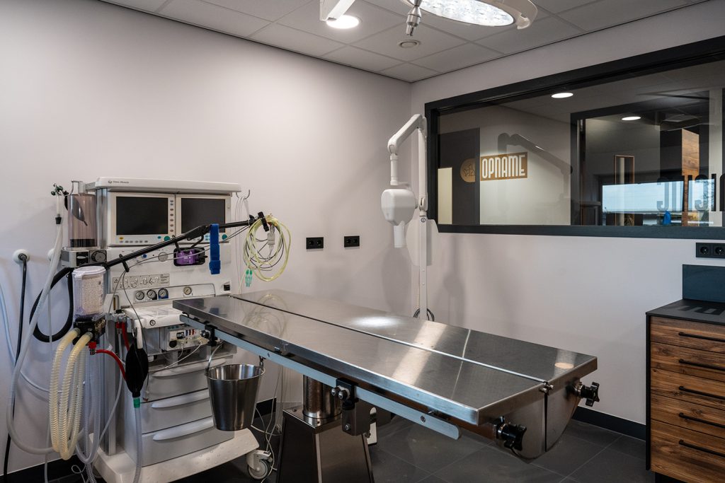 Dierenkliniek Tiel-Drumpt: onze gebitsruimte