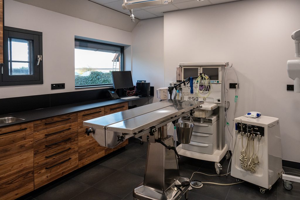 Dierenkliniek Tiel-Drumpt: onze gebitsruimte