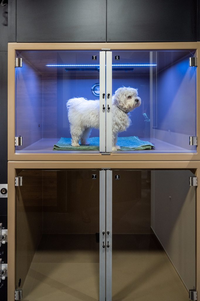 Dierenkliniek Tiel-Drumpt: Hondenopname met alle gemakken