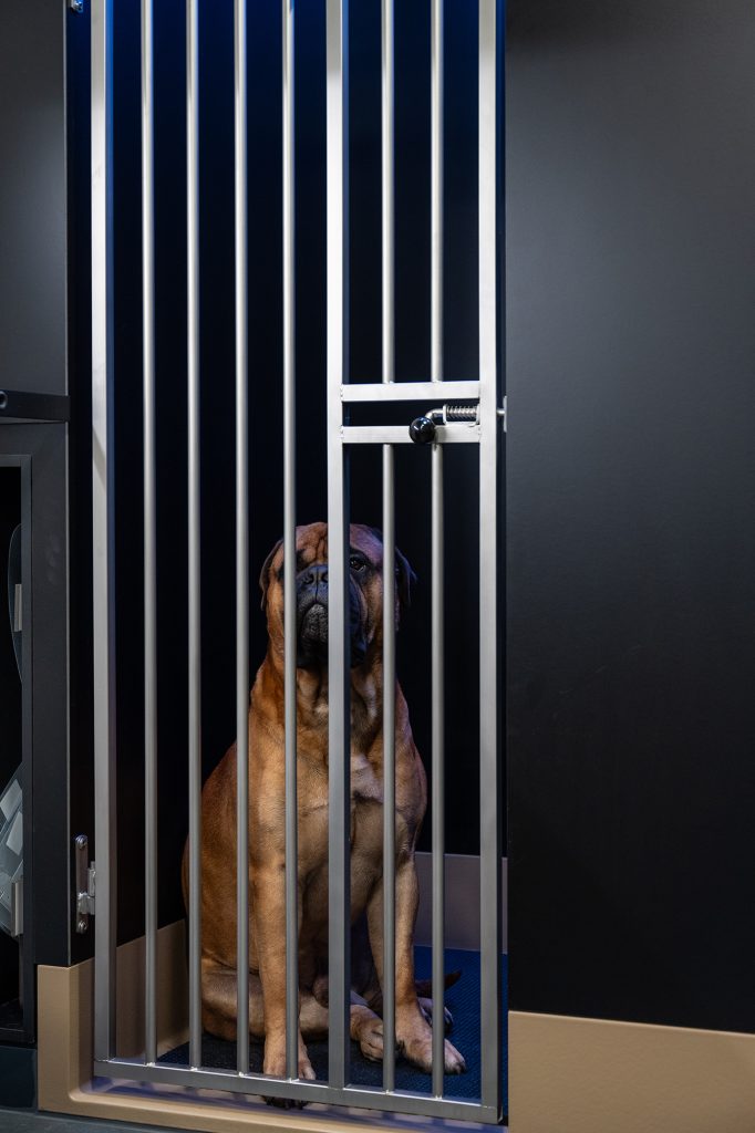 Dierenkliniek Tiel-Drumpt: De hondenopname is ook geschikt voor grote honden.