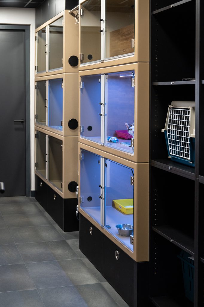 Dierenkliniek Tiel-Drumpt: De kattenopname