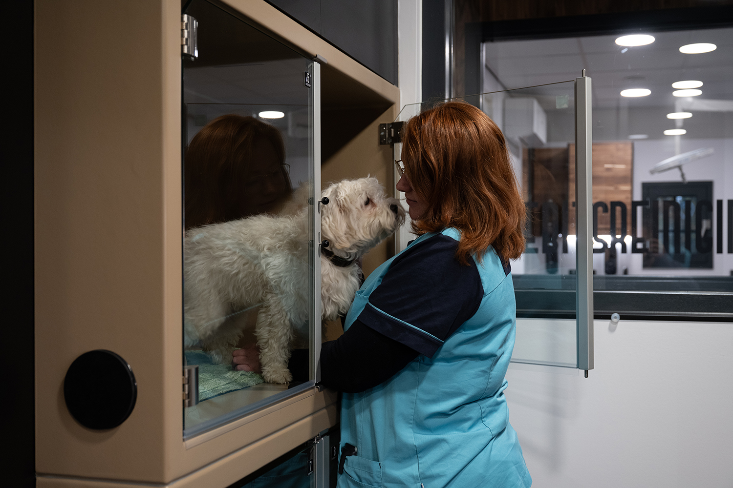 Dierenkliniek Tiel-Drumpt: De hondenopname