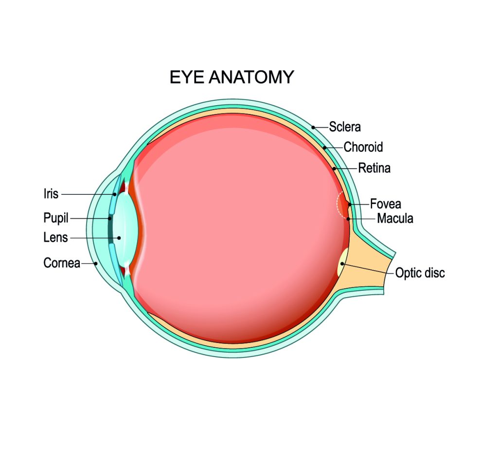 afbeelding KCS oftewel Droge ogen syndroom
