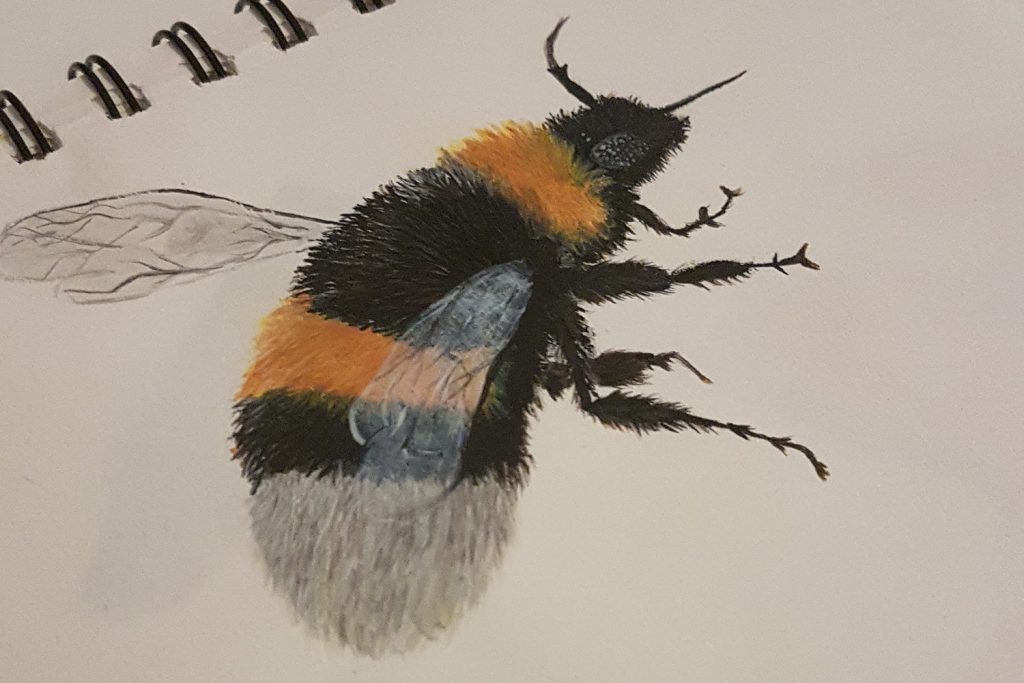 Dierenkliniek Tiel-Drumpt: Juliet van den Hurk, creatief bezig zijn