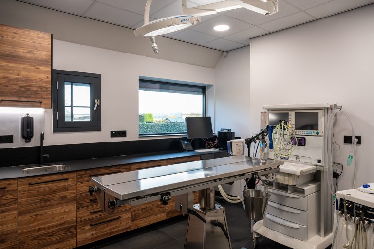 afbeelding De hond en het gebit