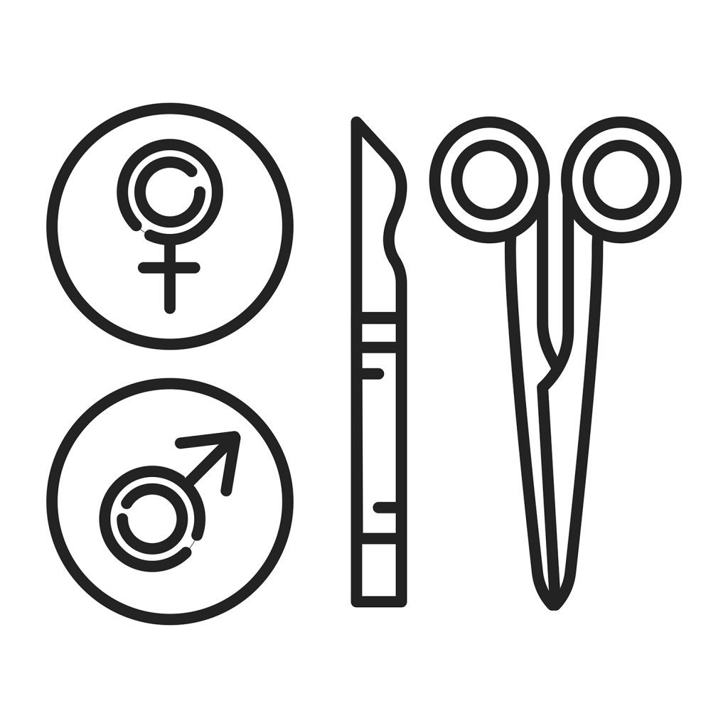 afbeelding Heet het nu een castratie, of een sterilisatie? 