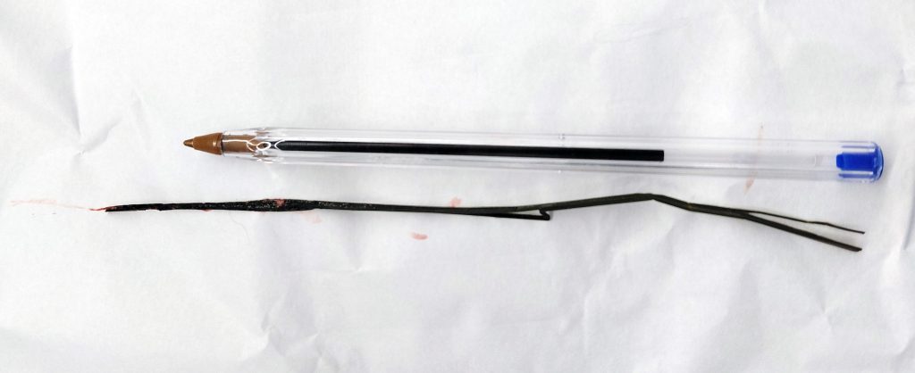 Dierenkliniek Tiel-Drumpt: grasspriet uit de luchtpijp van een kat.