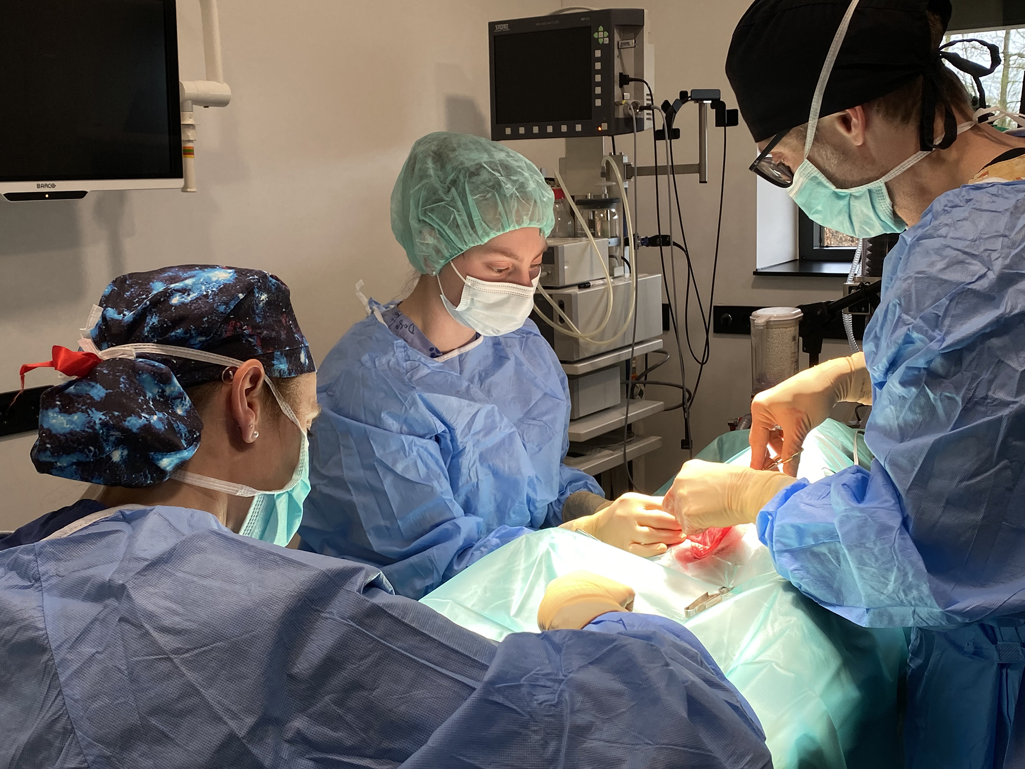 hero afbeelding diagnostiek