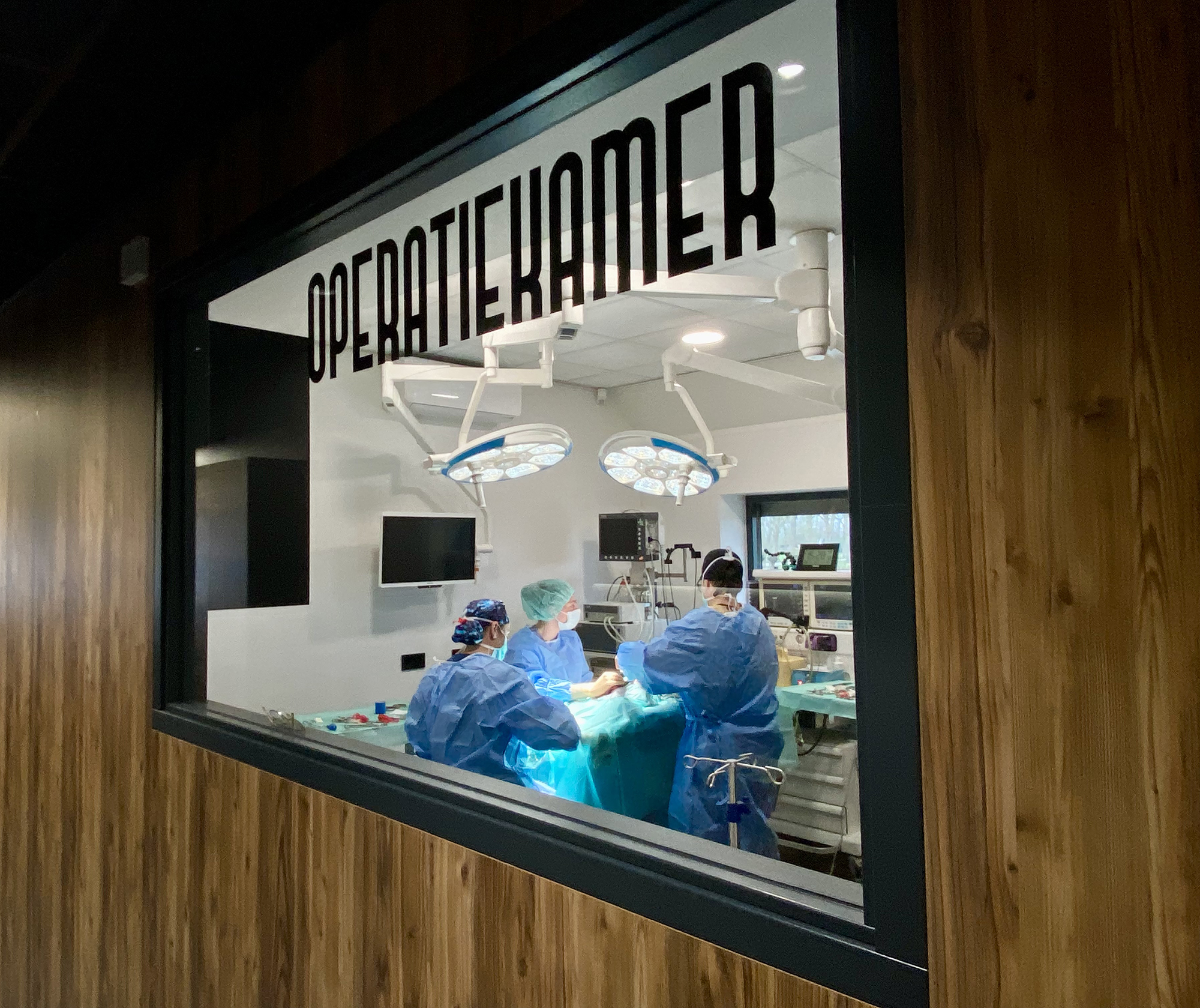 hero afbeelding blog