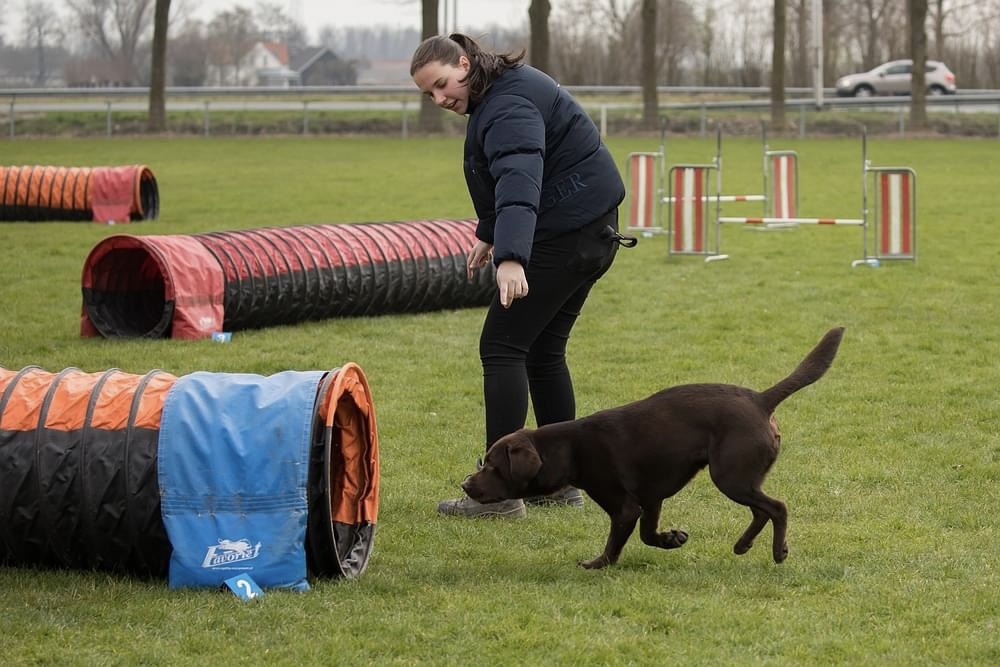 Dierenkliniek Tiel-Drumpt: Stage: Melissa